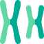 Chromosome