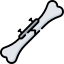Bone