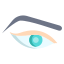 Eye