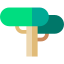 Baobab