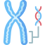 Chromosome