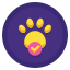 Pet friendly