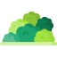 Bush