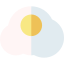 Fried egg