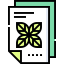 Paper