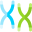 Chromosome