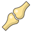 Bone