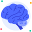 Brain