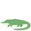 Crocodile