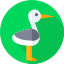 Stork