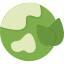 Green planet
