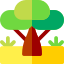 Baobab