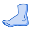 Foot