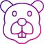 Beaver