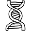 Dna