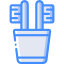 Tooth Brush