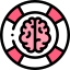 Brain