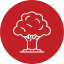 Oak