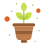 Plant pot