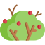 Bush