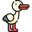 Stork