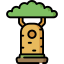 Baobab