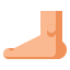 Foot