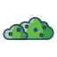 Bush