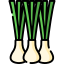 Spring onion