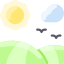 Field