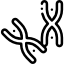 Chromosome