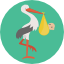 Stork