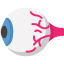 Eye