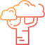 Baobab