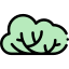 Bush