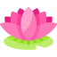 Lotus flower
