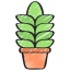 Agave