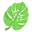 Palm Leaf