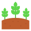 Field