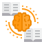 Brain