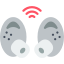 Earphones