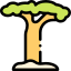 Baobab
