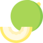 Melon