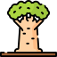 Baobab