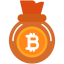 Bitcoin bag