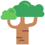 Baobab