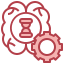 Brain