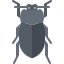 Beetle