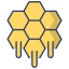 Honeycomb