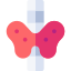 Thyroid